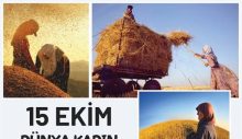 15 Ekim Dünya Kadın Çiftçiler Günü: Toprağın Kalbi Kadın Emeğiyle Atıyor