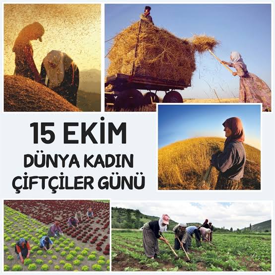 15 Ekim Dünya Kadın Çiftçiler Günü: Toprağın Kalbi Kadın Emeğiyle Atıyor