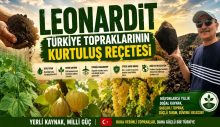Toprağın Sessiz Gücü: Leonardit Türkiye Tarımının Yeni Umudu mu?